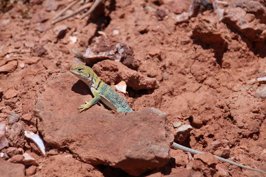 k-407-IMG_3535