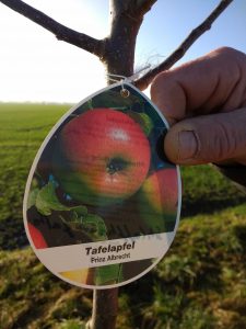 k-IMG_20171207_101414958