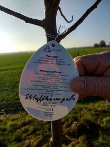 k-IMG_20171207_101423468_HDR